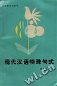 现代汉语特殊句式