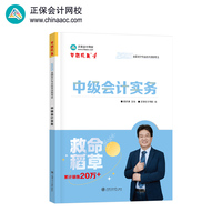 正保会计网校中级会计2025教材职称考试 中级会计实务（救命稻草）