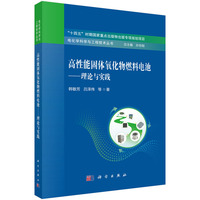 高性能固体氧化物燃料电池--理论与实践