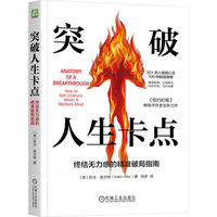 突破人生卡点：终结无力感的精准破局指南     （美）亚当·奥尔特    认知破局 破局思维 突破思维边界