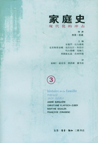 家庭史 第二卷：现代化的冲击