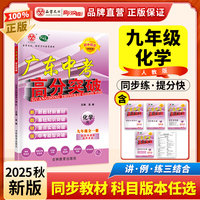 广东中考高分突破九年级化学（RJ）全一册