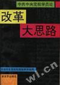 改革大思路