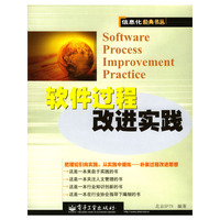软件过程改进实践