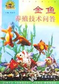 金鱼养殖技术问答/帮你一把富起来农业科技丛书