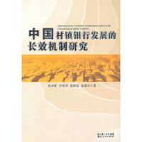 中国村镇银行发展的长效机制研究