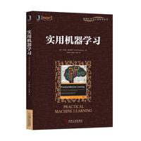 实用机器学习
