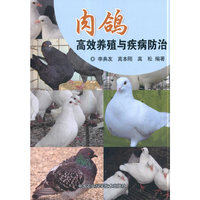 肉鸽高效养殖与疾病防治