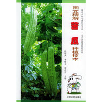图文精解苦瓜种植技术——建设农村小康社会书系·无公害蔬菜种植系列