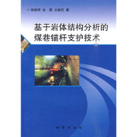 基于岩体结构分析的煤巷锚杆支扩技术