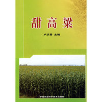 甜高粱
