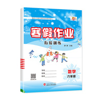 寒假作业人教版小学1-6年级寒假衔接专项训练同步练习期末复习6年级数学人教