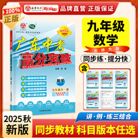 广东中考高分突破九年级数学（BS）全一册