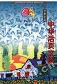 中华活页文选--小学版.第二辑