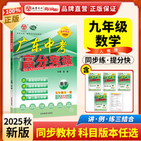 广东中考高分突破九年级数学（RJ）全一册