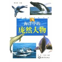 海洋中的庞然大物