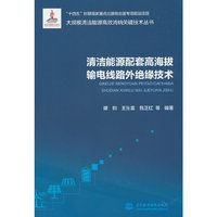 清洁能源配套高海拔输电线路外绝缘技术（大规模清洁能源高效消纳关键技术丛书）