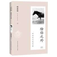 除你之外（席慕蓉诗歌典藏·新版）