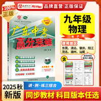 广东中考高分突破九年级物理（YH）全一册