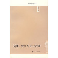 危机、安全与公共治理