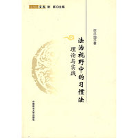 法治视野中的习惯法-理论与实践