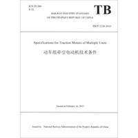动车组牵引电动机技术条件（TB/T3238-2010 英文版）