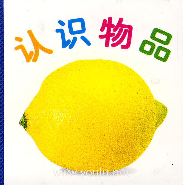 小小孩:认识物品(6-24个月婴儿适用)