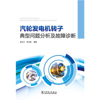汽轮发电机转子典型问题分析及故障诊断