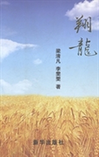 翔龙
