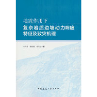 地震作用下复杂岩质边坡动力响应特征及致灾机理