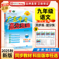 广东中考高分突破九年级语文（RJ）全一册