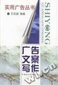 广告方案写作
