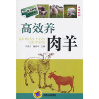 高效养肉羊-双色印刷