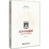 打开中国视野——当代文学与思想论集