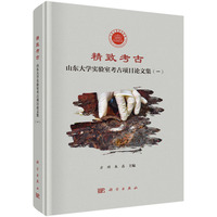 精致考古--山东大学实验室考古项目论文集（一）