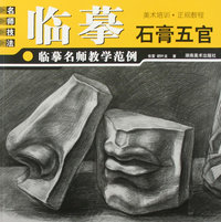 临摹名师教学范例 石膏五官