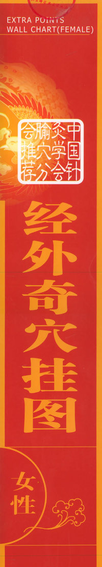 经外奇穴挂图（女性）