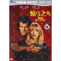 惊弓之鸟(DVD)