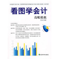 看图学会计：真账模拟