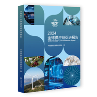 全球供应链促进报告（2024）