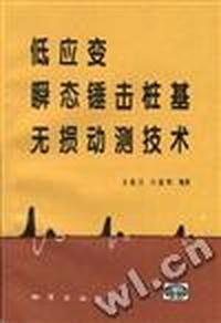 低应变瞬态锤击桩基无损动测技术