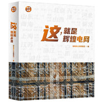 这，就是辉煌电网