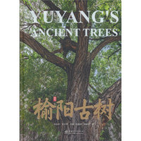 榆阳古树(精)