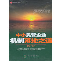 中小民营企业机制落地之道