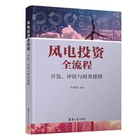风电投资全流程：开发、评估与财务建模