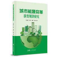城市能源变革演变规律研究 梳理城市能源系统 明确城市节能减排政策 地理环境研究专业学生学者用书 广东科技