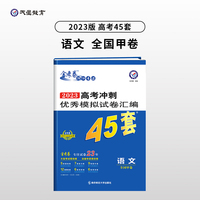高考45套 高考冲刺优秀模拟试卷汇编45套 语文 全国卷甲卷 2023版天星教育