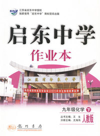 启东中学作业本：九年级化学（下）（人教版课标本）