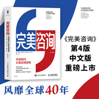 完美咨询 原书第4版