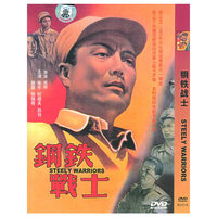 钢铁战士(DVD)